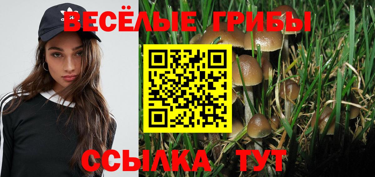 закладка  Вход с VPN  Мариинск  Галлюциногенные грибы MAGIC MUSHROOMS 